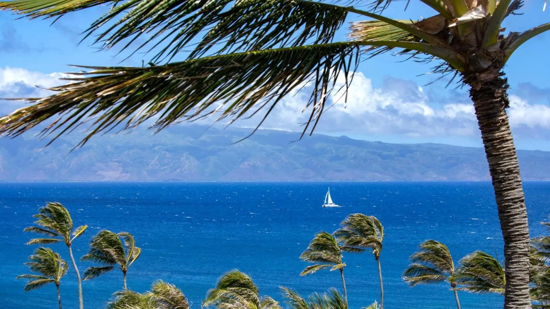 Kbm Resorts Free Car Hale Makai At Montage Kapalua Bay 3-Bedroom Beachfront Condo With Daily Housekeeping Spa